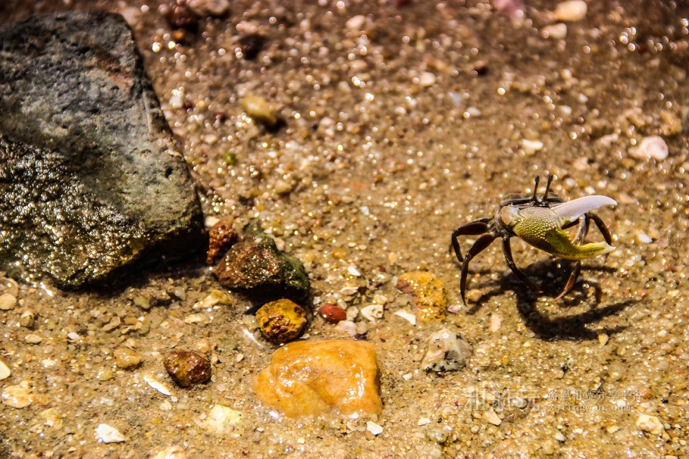 廈門游艇租賃 廈門帆船租賃