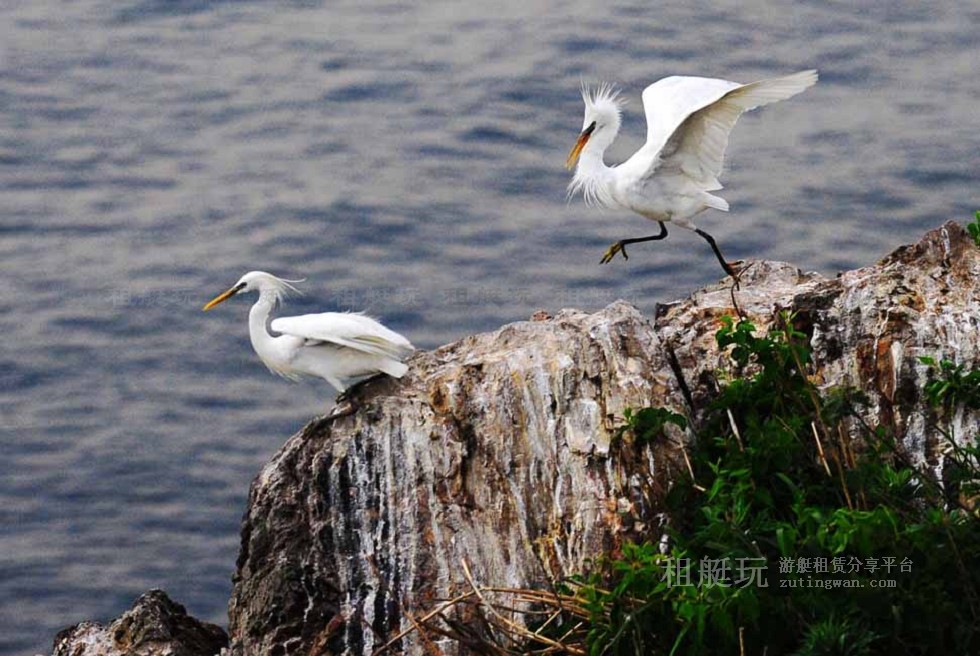 深圳玩船-釣魚(yú)&帆船最適宜